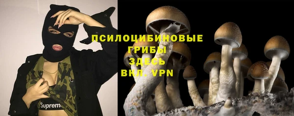 молекула духа Киренск