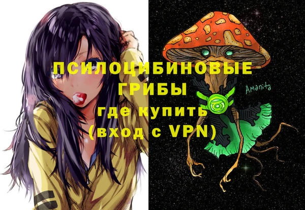 mdpv Киреевск