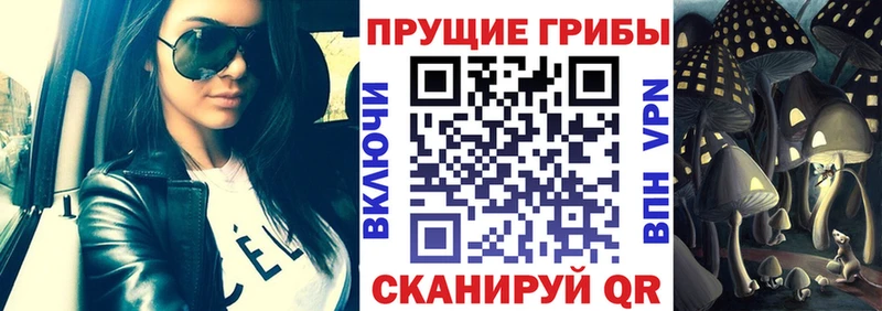 Псилоцибиновые грибы GOLDEN TEACHER Краснослободск